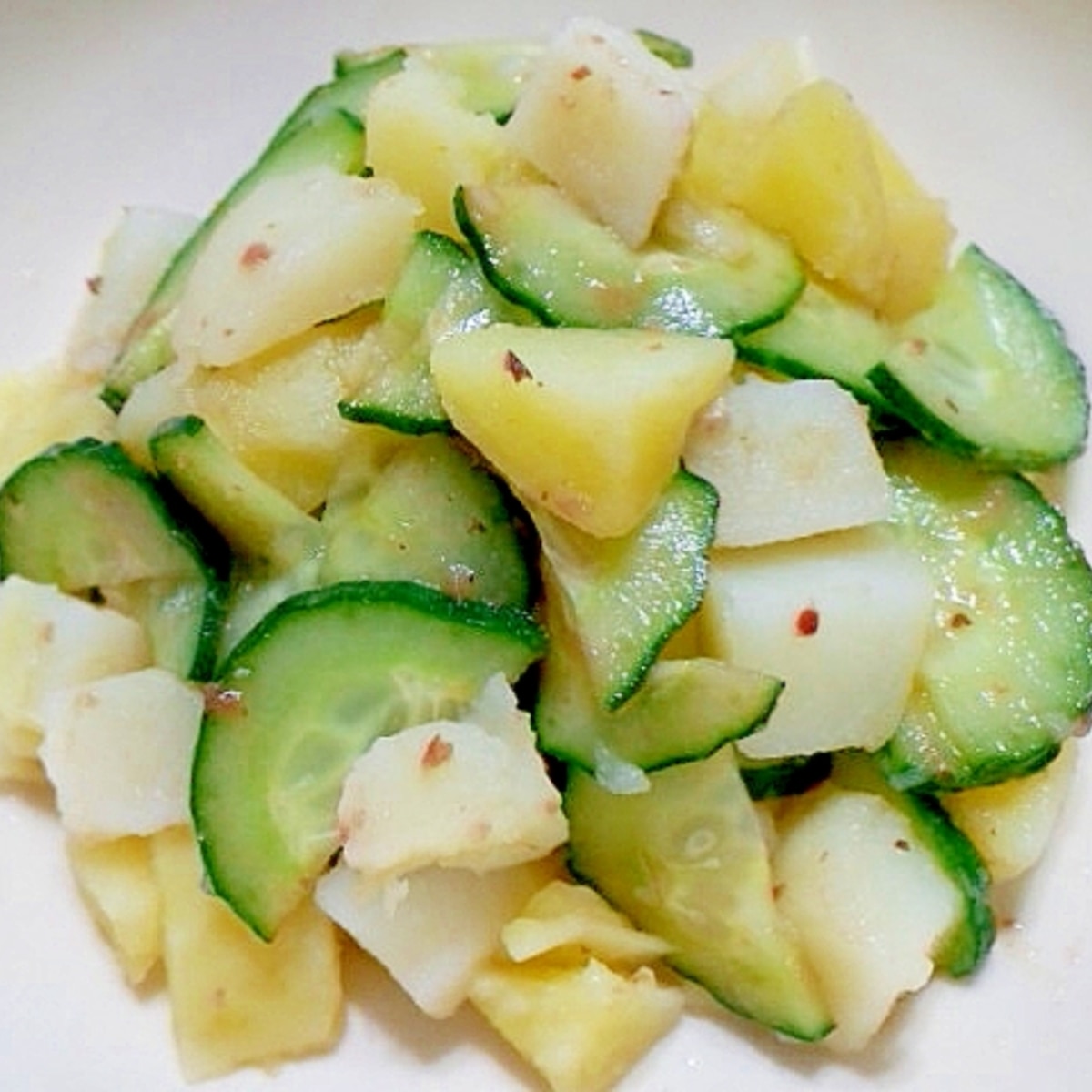 きゅうり 半月 切り 家庭科技術検定を受検しましょう Amp Petmd Com きゅうり 半月 切り 家庭科技術検定を受検しましょう Amp Petmd Com